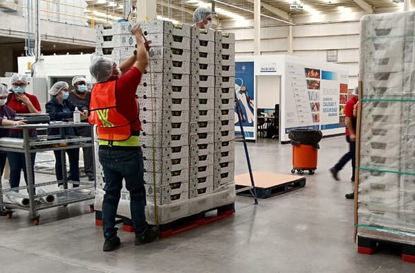 México, líder mundial en irradiación de fruta a EE. UU.