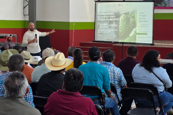 Impulsa EMAC en Michoacán la producción de la guanábana