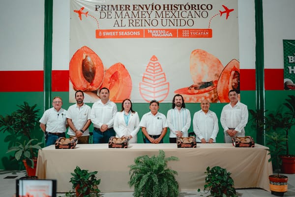 México envía su primer embarque de exportación de mamey al Reino Unido